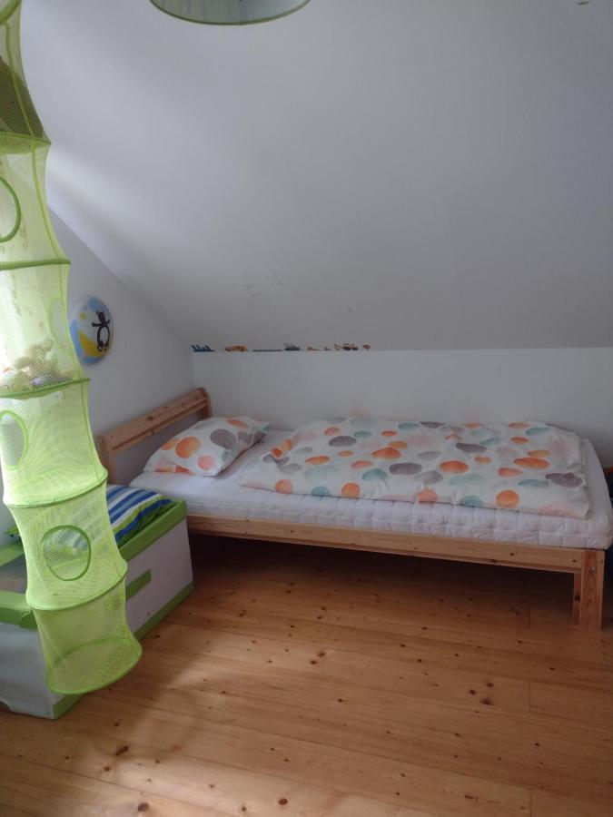 Chata Dvirka Zelezny Brod Exteriör bild