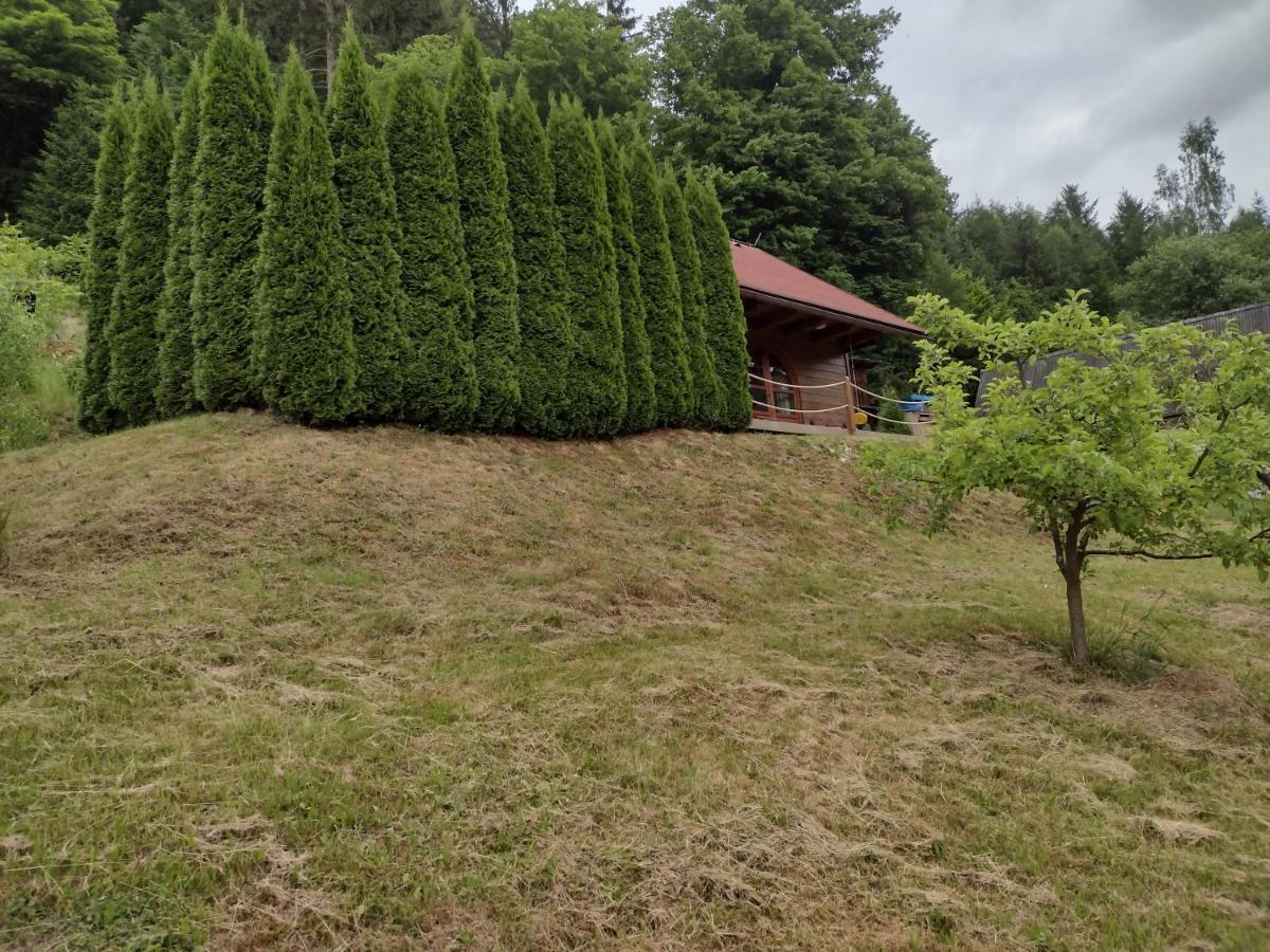 Chata Dvirka Zelezny Brod Exteriör bild