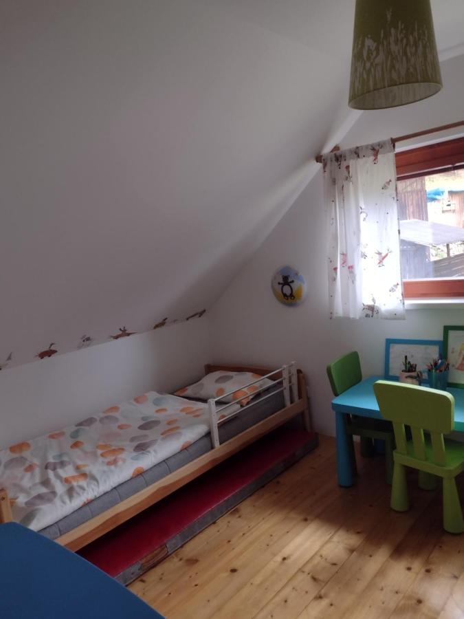 Chata Dvirka Zelezny Brod Exteriör bild