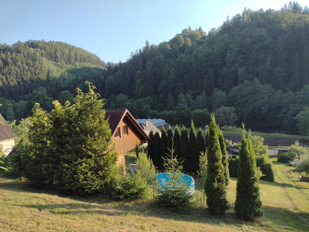 Chata Dvirka Zelezny Brod Exteriör bild