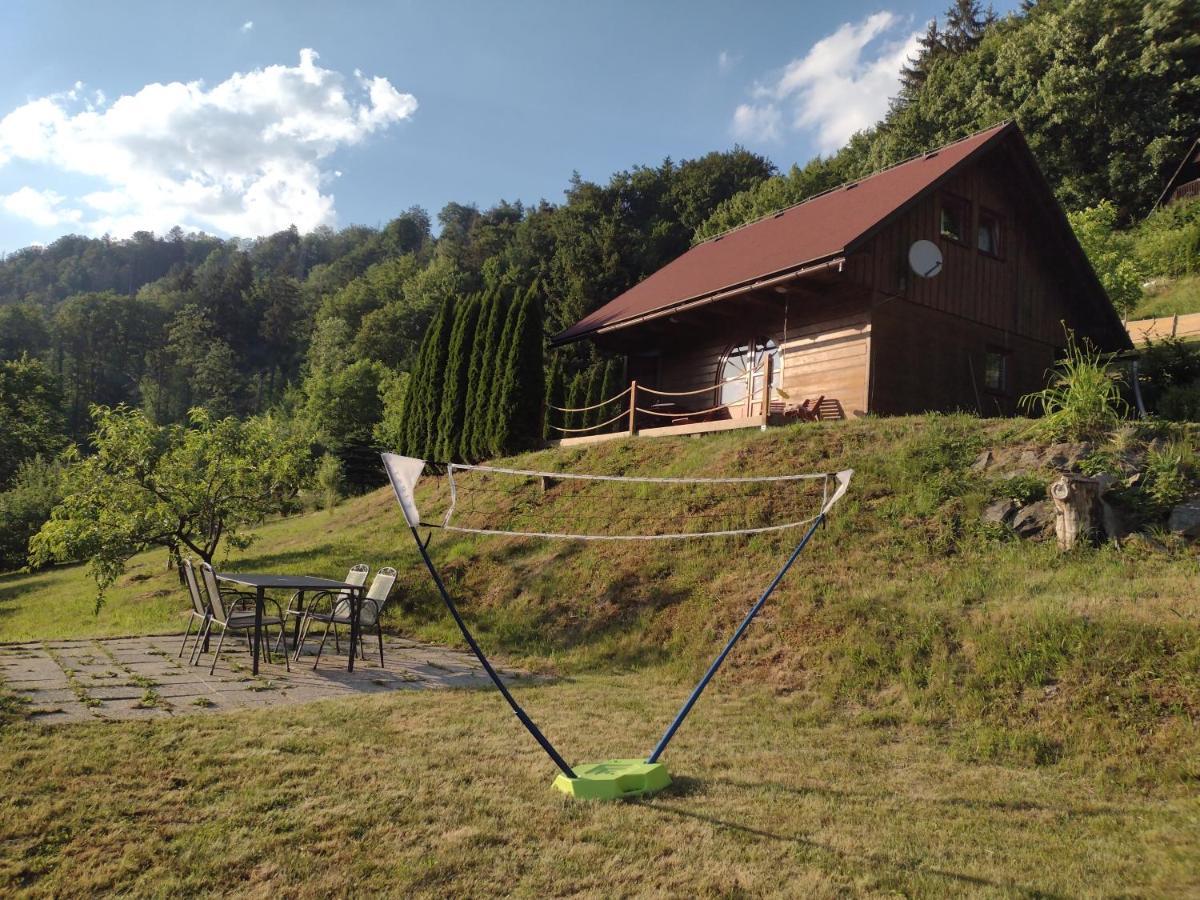Chata Dvirka Zelezny Brod Exteriör bild